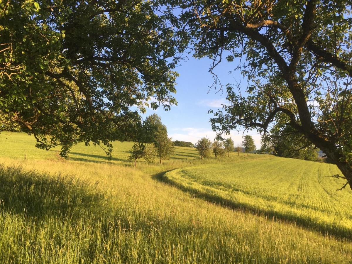 Landhaus Schaidreith Ferschnitz Bagian luar foto