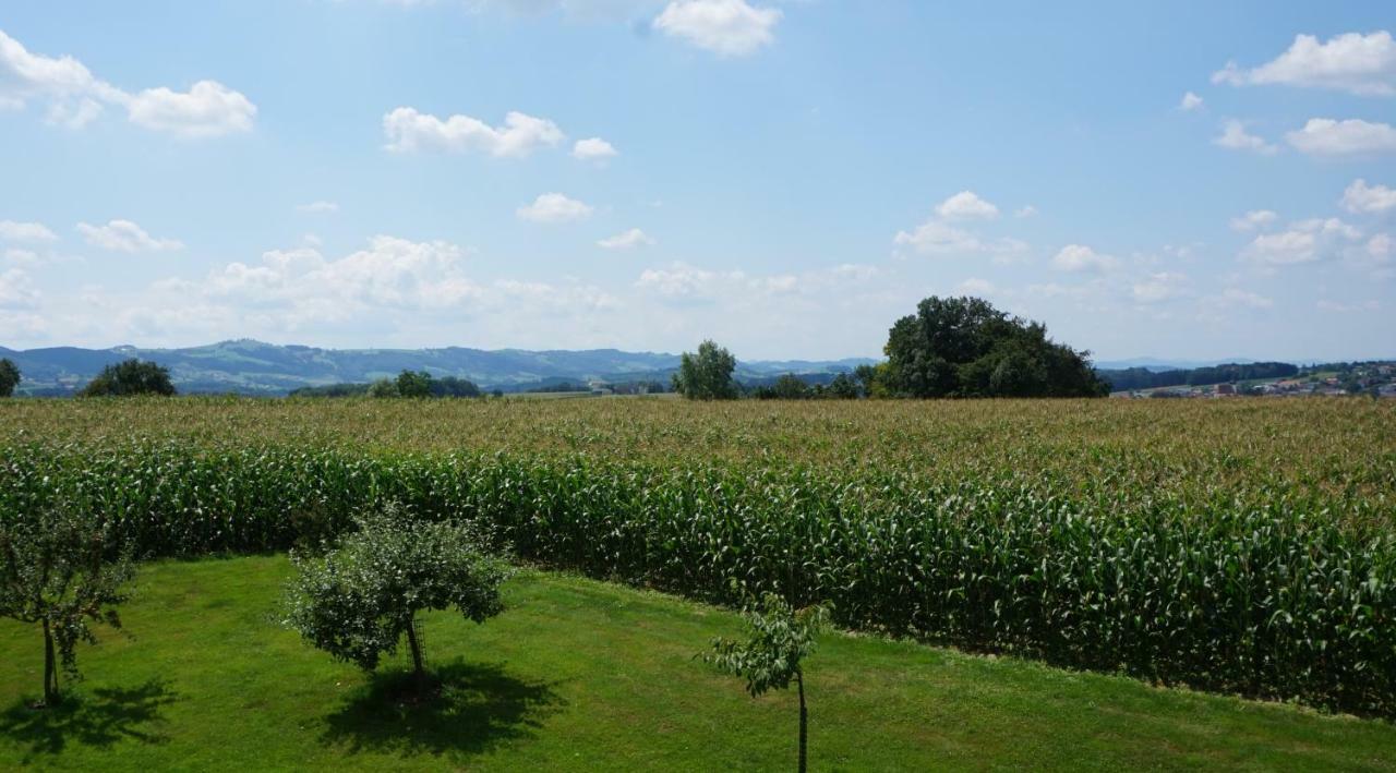 Landhaus Schaidreith Ferschnitz Bagian luar foto